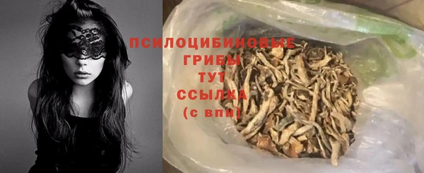молекула духа Ладушкин