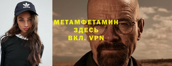 молекула духа Ладушкин