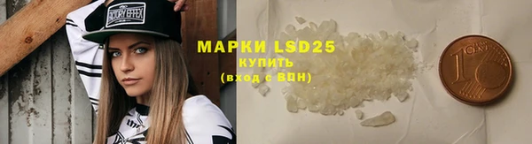 молекула духа Ладушкин