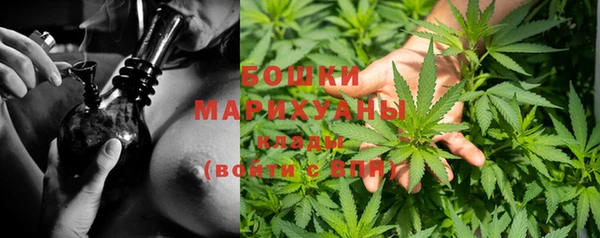 молекула духа Ладушкин