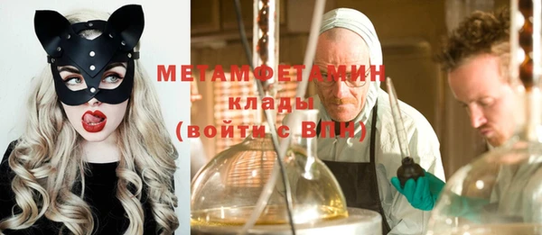 молекула духа Ладушкин